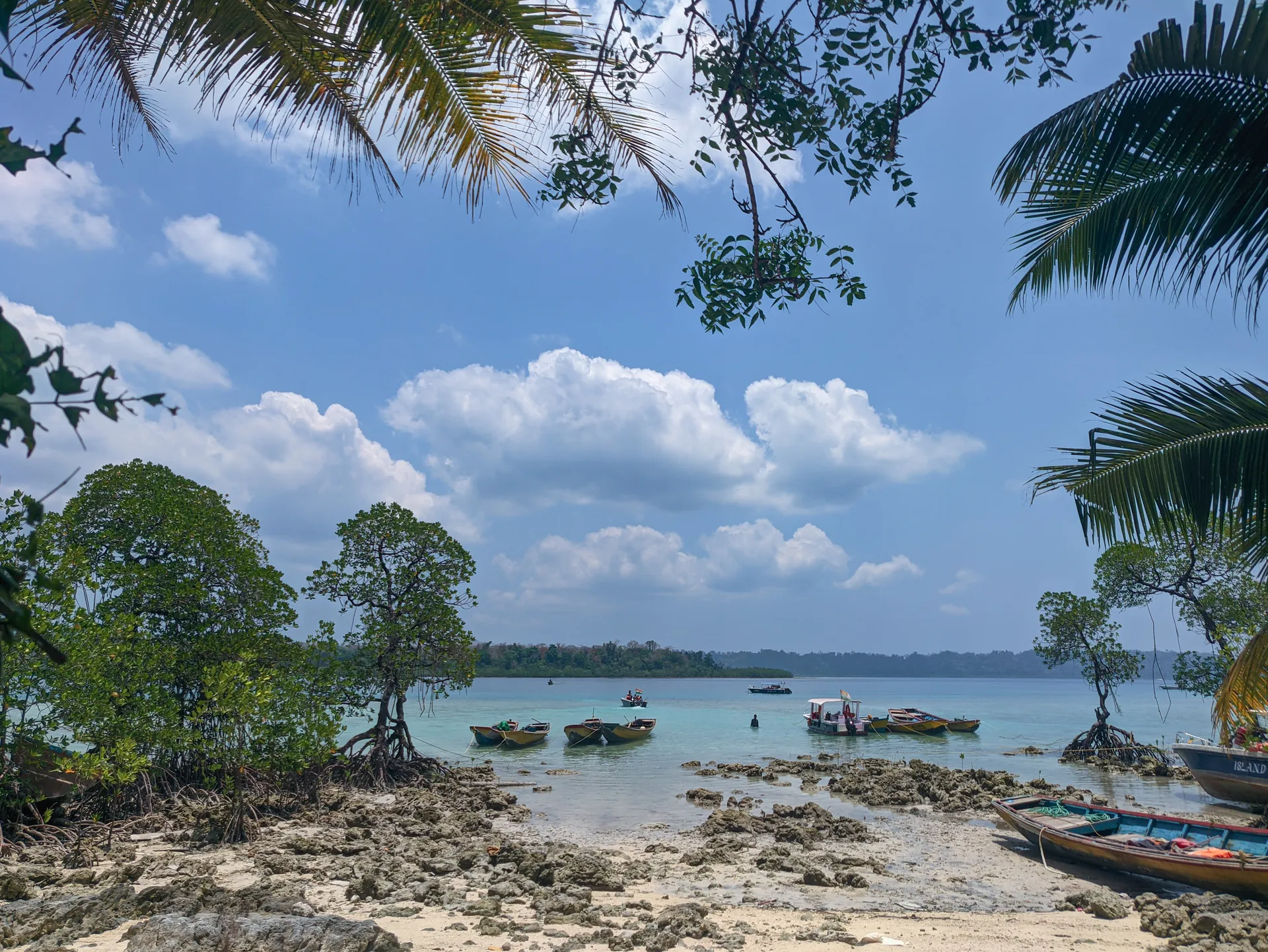 PXL_20240421_105341465