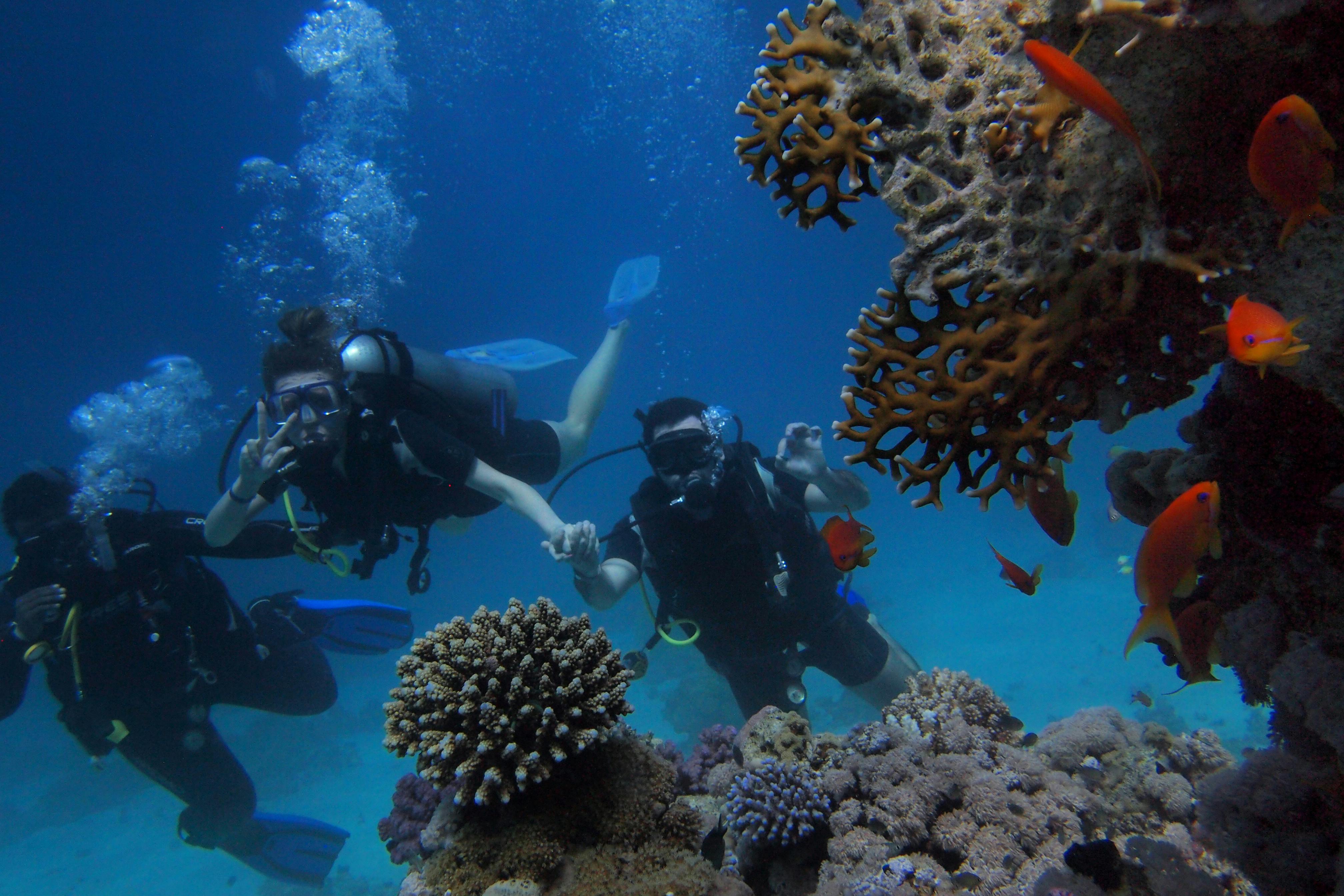 Scuba Dive at Havelock Island